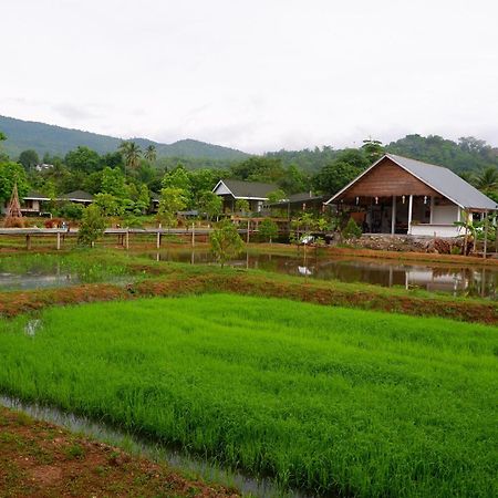 Nok Chan Mee Na Chom Thong Luaran gambar
