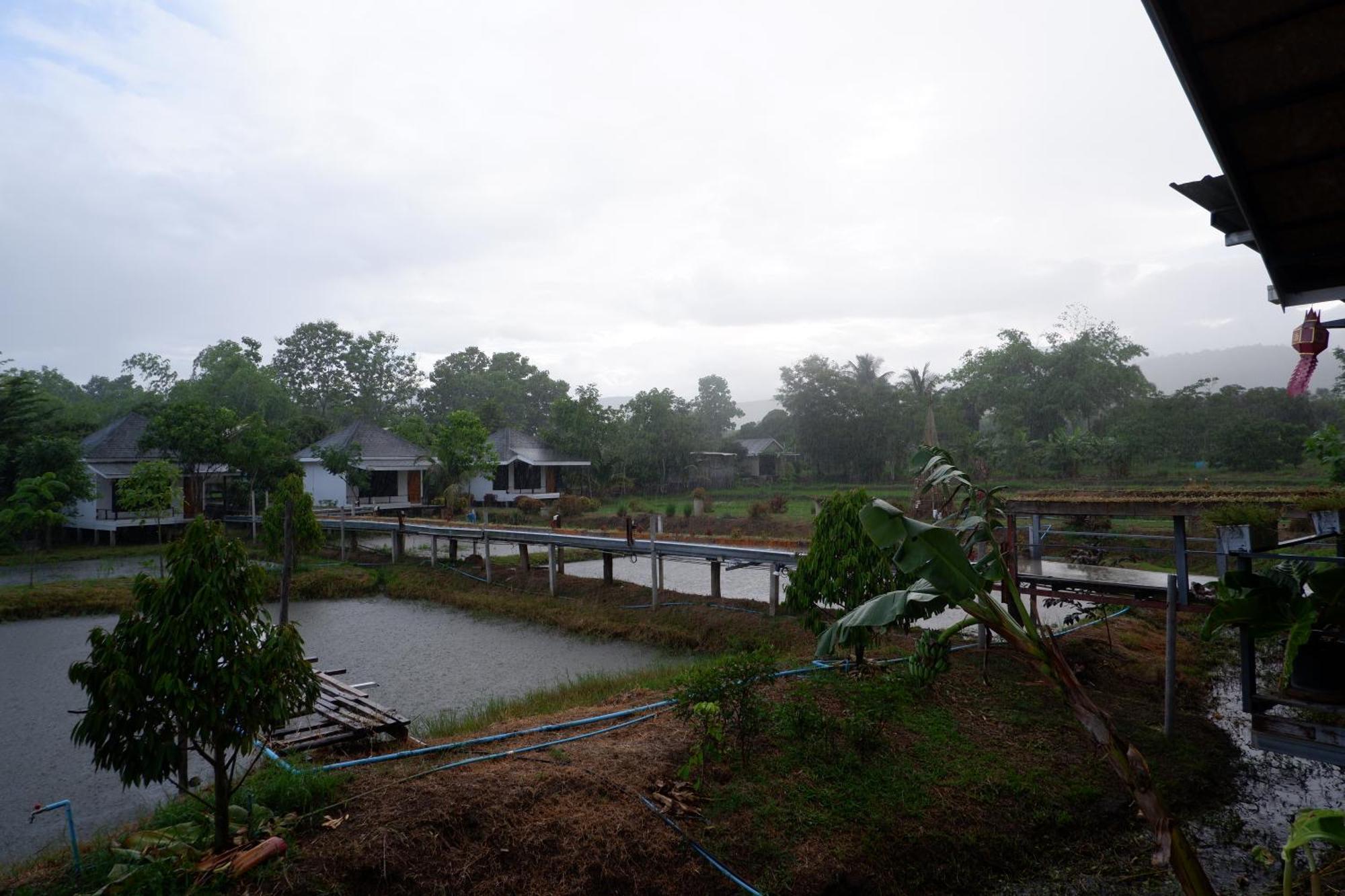 Nok Chan Mee Na Chom Thong Luaran gambar