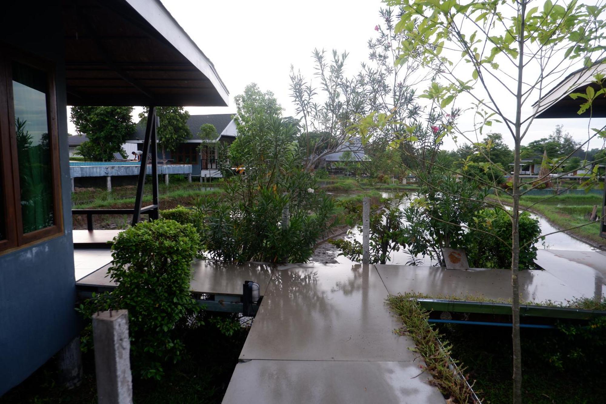 Nok Chan Mee Na Chom Thong Luaran gambar