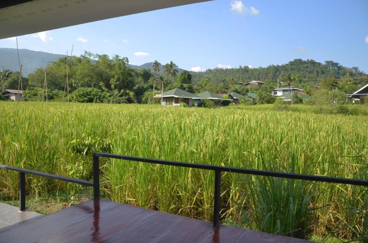 Nok Chan Mee Na Chom Thong Luaran gambar